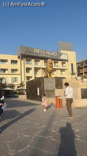 [P11]  -- <small>// FĂRĂ DESCRIERE</small> » foto by IuliaE
 - 
<span class="allrVoted glyphicon glyphicon-heart hidden" id="av1504705"></span>
<a class="m-l-10 hidden" id="sv1504705" onclick="voting_Foto_DelVot(,1504705,1773)" role="button">șterge vot <span class="glyphicon glyphicon-remove"></span></a>
<a id="v91504705" class=" c-red"  onclick="voting_Foto_SetVot(1504705)" role="button"><span class="glyphicon glyphicon-heart-empty"></span> <b>LIKE</b> = Votează poza</a> <img class="hidden"  id="f1504705W9" src="/imagini/loader.gif" border="0" /><span class="AjErrMes hidden" id="e1504705ErM"></span>