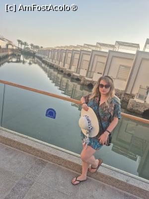 [P04]  -- <small>// FĂRĂ DESCRIERE</small> » foto by IuliaE
 - 
<span class="allrVoted glyphicon glyphicon-heart hidden" id="av1504698"></span>
<a class="m-l-10 hidden" id="sv1504698" onclick="voting_Foto_DelVot(,1504698,1773)" role="button">șterge vot <span class="glyphicon glyphicon-remove"></span></a>
<a id="v91504698" class=" c-red"  onclick="voting_Foto_SetVot(1504698)" role="button"><span class="glyphicon glyphicon-heart-empty"></span> <b>LIKE</b> = Votează poza</a> <img class="hidden"  id="f1504698W9" src="/imagini/loader.gif" border="0" /><span class="AjErrMes hidden" id="e1504698ErM"></span>