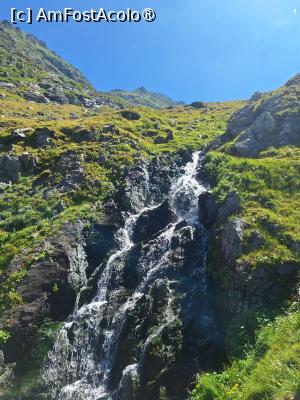 [P04] Imagini cu cascada » foto by laurand
 - 
<span class="allrVoted glyphicon glyphicon-heart hidden" id="av1538950"></span>
<a class="m-l-10 hidden" id="sv1538950" onclick="voting_Foto_DelVot(,1538950,1790)" role="button">șterge vot <span class="glyphicon glyphicon-remove"></span></a>
<a id="v91538950" class=" c-red"  onclick="voting_Foto_SetVot(1538950)" role="button"><span class="glyphicon glyphicon-heart-empty"></span> <b>LIKE</b> = Votează poza</a> <img class="hidden"  id="f1538950W9" src="/imagini/loader.gif" border="0" /><span class="AjErrMes hidden" id="e1538950ErM"></span>