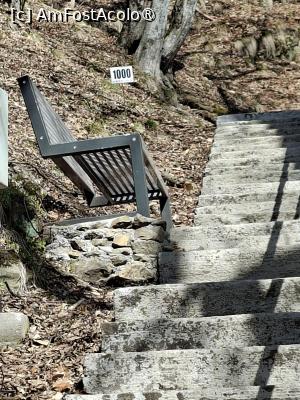 [P10] Cetatea Poenari, Am ajuns la treapta 1000, o bancă metalică, așa erau din loc în loc... » foto by mprofeanu
 - 
<span class="allrVoted glyphicon glyphicon-heart hidden" id="av1521291"></span>
<a class="m-l-10 hidden" id="sv1521291" onclick="voting_Foto_DelVot(,1521291,1790)" role="button">șterge vot <span class="glyphicon glyphicon-remove"></span></a>
<a id="v91521291" class=" c-red"  onclick="voting_Foto_SetVot(1521291)" role="button"><span class="glyphicon glyphicon-heart-empty"></span> <b>LIKE</b> = Votează poza</a> <img class="hidden"  id="f1521291W9" src="/imagini/loader.gif" border="0" /><span class="AjErrMes hidden" id="e1521291ErM"></span>