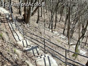 [P31] Cetatea Poenari, coborâm... » foto by mprofeanu
 - 
<span class="allrVoted glyphicon glyphicon-heart hidden" id="av1521312"></span>
<a class="m-l-10 hidden" id="sv1521312" onclick="voting_Foto_DelVot(,1521312,1790)" role="button">șterge vot <span class="glyphicon glyphicon-remove"></span></a>
<a id="v91521312" class=" c-red"  onclick="voting_Foto_SetVot(1521312)" role="button"><span class="glyphicon glyphicon-heart-empty"></span> <b>LIKE</b> = Votează poza</a> <img class="hidden"  id="f1521312W9" src="/imagini/loader.gif" border="0" /><span class="AjErrMes hidden" id="e1521312ErM"></span>