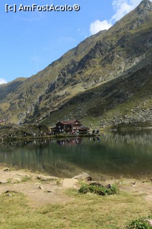 [P05] Transfagarasan, sept. 2016 » foto by Dana2008
 - 
<span class="allrVoted glyphicon glyphicon-heart hidden" id="av822287"></span>
<a class="m-l-10 hidden" id="sv822287" onclick="voting_Foto_DelVot(,822287,1790)" role="button">șterge vot <span class="glyphicon glyphicon-remove"></span></a>
<a id="v9822287" class=" c-red"  onclick="voting_Foto_SetVot(822287)" role="button"><span class="glyphicon glyphicon-heart-empty"></span> <b>LIKE</b> = Votează poza</a> <img class="hidden"  id="f822287W9" src="/imagini/loader.gif" border="0" /><span class="AjErrMes hidden" id="e822287ErM"></span>