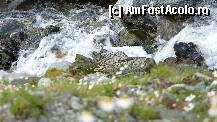 [P18] O mini-cascada chiar sub Balea » foto by brugner
 - 
<span class="allrVoted glyphicon glyphicon-heart hidden" id="av294557"></span>
<a class="m-l-10 hidden" id="sv294557" onclick="voting_Foto_DelVot(,294557,1790)" role="button">șterge vot <span class="glyphicon glyphicon-remove"></span></a>
<a id="v9294557" class=" c-red"  onclick="voting_Foto_SetVot(294557)" role="button"><span class="glyphicon glyphicon-heart-empty"></span> <b>LIKE</b> = Votează poza</a> <img class="hidden"  id="f294557W9" src="/imagini/loader.gif" border="0" /><span class="AjErrMes hidden" id="e294557ErM"></span>