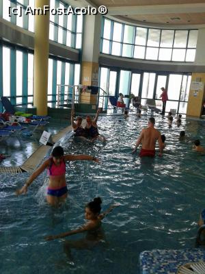 [P04] Piscina » foto by marival
 - 
<span class="allrVoted glyphicon glyphicon-heart hidden" id="av962842"></span>
<a class="m-l-10 hidden" id="sv962842" onclick="voting_Foto_DelVot(,962842,1869)" role="button">șterge vot <span class="glyphicon glyphicon-remove"></span></a>
<a id="v9962842" class=" c-red"  onclick="voting_Foto_SetVot(962842)" role="button"><span class="glyphicon glyphicon-heart-empty"></span> <b>LIKE</b> = Votează poza</a> <img class="hidden"  id="f962842W9" src="/imagini/loader.gif" border="0" /><span class="AjErrMes hidden" id="e962842ErM"></span>