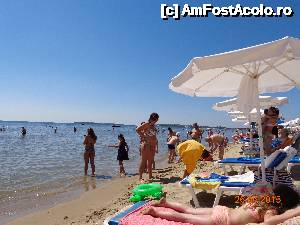 [P01]  -- <small>// FĂRĂ DESCRIERE</small> » foto by zola
 - 
<span class="allrVoted glyphicon glyphicon-heart hidden" id="av633666"></span>
<a class="m-l-10 hidden" id="sv633666" onclick="voting_Foto_DelVot(,633666,1941)" role="button">șterge vot <span class="glyphicon glyphicon-remove"></span></a>
<a id="v9633666" class=" c-red"  onclick="voting_Foto_SetVot(633666)" role="button"><span class="glyphicon glyphicon-heart-empty"></span> <b>LIKE</b> = Votează poza</a> <img class="hidden"  id="f633666W9" src="/imagini/loader.gif" border="0" /><span class="AjErrMes hidden" id="e633666ErM"></span>