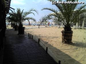 [P06] Plaja din Sunny Beach, de lângă Club Calimera » foto by FlorinAndrei
 - 
<span class="allrVoted glyphicon glyphicon-heart hidden" id="av612975"></span>
<a class="m-l-10 hidden" id="sv612975" onclick="voting_Foto_DelVot(,612975,1945)" role="button">șterge vot <span class="glyphicon glyphicon-remove"></span></a>
<a id="v9612975" class=" c-red"  onclick="voting_Foto_SetVot(612975)" role="button"><span class="glyphicon glyphicon-heart-empty"></span> <b>LIKE</b> = Votează poza</a> <img class="hidden"  id="f612975W9" src="/imagini/loader.gif" border="0" /><span class="AjErrMes hidden" id="e612975ErM"></span>