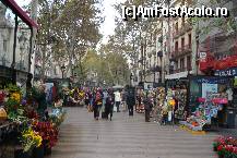 [P19] La Rambla- plina de florarii, artisti, tirosti si localnici » foto by guesswhoo*
 - 
<span class="allrVoted glyphicon glyphicon-heart hidden" id="av245403"></span>
<a class="m-l-10 hidden" id="sv245403" onclick="voting_Foto_DelVot(,245403,1999)" role="button">șterge vot <span class="glyphicon glyphicon-remove"></span></a>
<a id="v9245403" class=" c-red"  onclick="voting_Foto_SetVot(245403)" role="button"><span class="glyphicon glyphicon-heart-empty"></span> <b>LIKE</b> = Votează poza</a> <img class="hidden"  id="f245403W9" src="/imagini/loader.gif" border="0" /><span class="AjErrMes hidden" id="e245403ErM"></span>