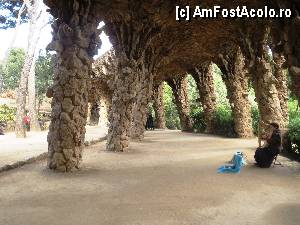 [P21] Parc Guell » foto by Ricone
 - 
<span class="allrVoted glyphicon glyphicon-heart hidden" id="av422434"></span>
<a class="m-l-10 hidden" id="sv422434" onclick="voting_Foto_DelVot(,422434,1999)" role="button">șterge vot <span class="glyphicon glyphicon-remove"></span></a>
<a id="v9422434" class=" c-red"  onclick="voting_Foto_SetVot(422434)" role="button"><span class="glyphicon glyphicon-heart-empty"></span> <b>LIKE</b> = Votează poza</a> <img class="hidden"  id="f422434W9" src="/imagini/loader.gif" border="0" /><span class="AjErrMes hidden" id="e422434ErM"></span>