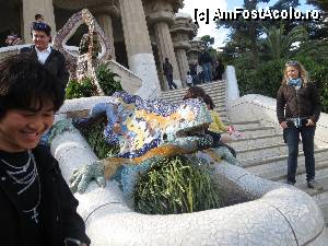 [P06] Celebra iguana din parc Guell » foto by Ricone
 - 
<span class="allrVoted glyphicon glyphicon-heart hidden" id="av422414"></span>
<a class="m-l-10 hidden" id="sv422414" onclick="voting_Foto_DelVot(,422414,1999)" role="button">șterge vot <span class="glyphicon glyphicon-remove"></span></a>
<a id="v9422414" class=" c-red"  onclick="voting_Foto_SetVot(422414)" role="button"><span class="glyphicon glyphicon-heart-empty"></span> <b>LIKE</b> = Votează poza</a> <img class="hidden"  id="f422414W9" src="/imagini/loader.gif" border="0" /><span class="AjErrMes hidden" id="e422414ErM"></span>