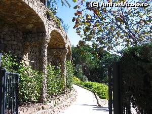 [P24] prin parc guell » foto by papone
 - 
<span class="allrVoted glyphicon glyphicon-heart hidden" id="av579053"></span>
<a class="m-l-10 hidden" id="sv579053" onclick="voting_Foto_DelVot(,579053,1999)" role="button">șterge vot <span class="glyphicon glyphicon-remove"></span></a>
<a id="v9579053" class=" c-red"  onclick="voting_Foto_SetVot(579053)" role="button"><span class="glyphicon glyphicon-heart-empty"></span> <b>LIKE</b> = Votează poza</a> <img class="hidden"  id="f579053W9" src="/imagini/loader.gif" border="0" /><span class="AjErrMes hidden" id="e579053ErM"></span>