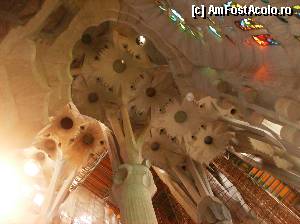 [P04] Interior Sagrada Familia - Barcelona » foto by yuly68
 - 
<span class="allrVoted glyphicon glyphicon-heart hidden" id="av387578"></span>
<a class="m-l-10 hidden" id="sv387578" onclick="voting_Foto_DelVot(,387578,1999)" role="button">șterge vot <span class="glyphicon glyphicon-remove"></span></a>
<a id="v9387578" class=" c-red"  onclick="voting_Foto_SetVot(387578)" role="button"><span class="glyphicon glyphicon-heart-empty"></span> <b>LIKE</b> = Votează poza</a> <img class="hidden"  id="f387578W9" src="/imagini/loader.gif" border="0" /><span class="AjErrMes hidden" id="e387578ErM"></span>