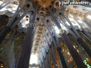 [P91] Sagrada Familia » foto by Aurici
 - 
<span class="allrVoted glyphicon glyphicon-heart hidden" id="av611513"></span>
<a class="m-l-10 hidden" id="sv611513" onclick="voting_Foto_DelVot(,611513,1999)" role="button">șterge vot <span class="glyphicon glyphicon-remove"></span></a>
<a id="v9611513" class=" c-red"  onclick="voting_Foto_SetVot(611513)" role="button"><span class="glyphicon glyphicon-heart-empty"></span> <b>LIKE</b> = Votează poza</a> <img class="hidden"  id="f611513W9" src="/imagini/loader.gif" border="0" /><span class="AjErrMes hidden" id="e611513ErM"></span>