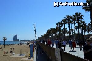 [P24] Barcelona - promenada » foto by makuy*
 - 
<span class="allrVoted glyphicon glyphicon-heart hidden" id="av510080"></span>
<a class="m-l-10 hidden" id="sv510080" onclick="voting_Foto_DelVot(,510080,1999)" role="button">șterge vot <span class="glyphicon glyphicon-remove"></span></a>
<a id="v9510080" class=" c-red"  onclick="voting_Foto_SetVot(510080)" role="button"><span class="glyphicon glyphicon-heart-empty"></span> <b>LIKE</b> = Votează poza</a> <img class="hidden"  id="f510080W9" src="/imagini/loader.gif" border="0" /><span class="AjErrMes hidden" id="e510080ErM"></span>