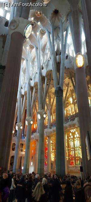 [P12] Sagrada Familia, interior » foto by DanSta
 - 
<span class="allrVoted glyphicon glyphicon-heart hidden" id="av1470803"></span>
<a class="m-l-10 hidden" id="sv1470803" onclick="voting_Foto_DelVot(,1470803,1999)" role="button">șterge vot <span class="glyphicon glyphicon-remove"></span></a>
<a id="v91470803" class=" c-red"  onclick="voting_Foto_SetVot(1470803)" role="button"><span class="glyphicon glyphicon-heart-empty"></span> <b>LIKE</b> = Votează poza</a> <img class="hidden"  id="f1470803W9" src="/imagini/loader.gif" border="0" /><span class="AjErrMes hidden" id="e1470803ErM"></span>