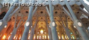 [P22] Sagrada Familia, interior » foto by DanSta
 - 
<span class="allrVoted glyphicon glyphicon-heart hidden" id="av1470813"></span>
<a class="m-l-10 hidden" id="sv1470813" onclick="voting_Foto_DelVot(,1470813,1999)" role="button">șterge vot <span class="glyphicon glyphicon-remove"></span></a>
<a id="v91470813" class=" c-red"  onclick="voting_Foto_SetVot(1470813)" role="button"><span class="glyphicon glyphicon-heart-empty"></span> <b>LIKE</b> = Votează poza</a> <img class="hidden"  id="f1470813W9" src="/imagini/loader.gif" border="0" /><span class="AjErrMes hidden" id="e1470813ErM"></span>