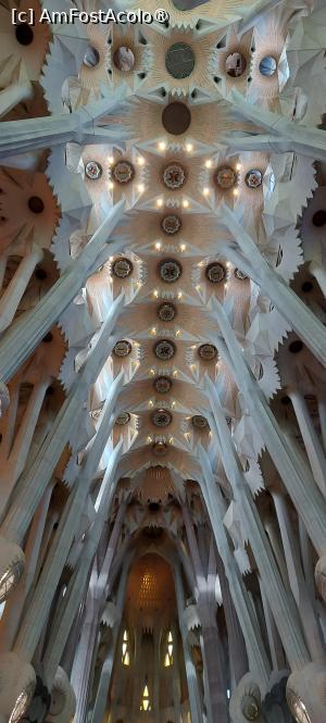 [P23] Sagrada Familia, interior » foto by DanSta
 - 
<span class="allrVoted glyphicon glyphicon-heart hidden" id="av1470814"></span>
<a class="m-l-10 hidden" id="sv1470814" onclick="voting_Foto_DelVot(,1470814,1999)" role="button">șterge vot <span class="glyphicon glyphicon-remove"></span></a>
<a id="v91470814" class=" c-red"  onclick="voting_Foto_SetVot(1470814)" role="button"><span class="glyphicon glyphicon-heart-empty"></span> <b>LIKE</b> = Votează poza</a> <img class="hidden"  id="f1470814W9" src="/imagini/loader.gif" border="0" /><span class="AjErrMes hidden" id="e1470814ErM"></span>