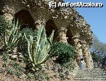 [P04] P04-Parcul Guell » foto by dorgo
 - 
<span class="allrVoted glyphicon glyphicon-heart hidden" id="av282319"></span>
<a class="m-l-10 hidden" id="sv282319" onclick="voting_Foto_DelVot(,282319,1999)" role="button">șterge vot <span class="glyphicon glyphicon-remove"></span></a>
<a id="v9282319" class=" c-red"  onclick="voting_Foto_SetVot(282319)" role="button"><span class="glyphicon glyphicon-heart-empty"></span> <b>LIKE</b> = Votează poza</a> <img class="hidden"  id="f282319W9" src="/imagini/loader.gif" border="0" /><span class="AjErrMes hidden" id="e282319ErM"></span>