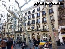 [P03] Barcelona: La Rambla » foto by mariana.olaru
 - 
<span class="allrVoted glyphicon glyphicon-heart hidden" id="av383364"></span>
<a class="m-l-10 hidden" id="sv383364" onclick="voting_Foto_DelVot(,383364,1999)" role="button">șterge vot <span class="glyphicon glyphicon-remove"></span></a>
<a id="v9383364" class=" c-red"  onclick="voting_Foto_SetVot(383364)" role="button"><span class="glyphicon glyphicon-heart-empty"></span> <b>LIKE</b> = Votează poza</a> <img class="hidden"  id="f383364W9" src="/imagini/loader.gif" border="0" /><span class="AjErrMes hidden" id="e383364ErM"></span>