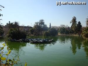 [P107] Barcelona, Parc de la Ciutadella: lacul » foto by mariana.olaru
 - 
<span class="allrVoted glyphicon glyphicon-heart hidden" id="av388397"></span>
<a class="m-l-10 hidden" id="sv388397" onclick="voting_Foto_DelVot(,388397,1999)" role="button">șterge vot <span class="glyphicon glyphicon-remove"></span></a>
<a id="v9388397" class=" c-red"  onclick="voting_Foto_SetVot(388397)" role="button"><span class="glyphicon glyphicon-heart-empty"></span> <b>LIKE</b> = Votează poza</a> <img class="hidden"  id="f388397W9" src="/imagini/loader.gif" border="0" /><span class="AjErrMes hidden" id="e388397ErM"></span>