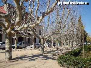 [P120] Barcelona, Parc de la Ciutadella: Plaça de les Armes și aleea din fața Institutului Verdaguer » foto by mariana.olaru
 - 
<span class="allrVoted glyphicon glyphicon-heart hidden" id="av388410"></span>
<a class="m-l-10 hidden" id="sv388410" onclick="voting_Foto_DelVot(,388410,1999)" role="button">șterge vot <span class="glyphicon glyphicon-remove"></span></a>
<a id="v9388410" class=" c-red"  onclick="voting_Foto_SetVot(388410)" role="button"><span class="glyphicon glyphicon-heart-empty"></span> <b>LIKE</b> = Votează poza</a> <img class="hidden"  id="f388410W9" src="/imagini/loader.gif" border="0" /><span class="AjErrMes hidden" id="e388410ErM"></span>