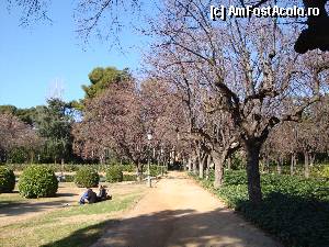 [P140] Barcelona, Jardins del Pedralbes Palau Royal » foto by mariana.olaru
 - 
<span class="allrVoted glyphicon glyphicon-heart hidden" id="av388430"></span>
<a class="m-l-10 hidden" id="sv388430" onclick="voting_Foto_DelVot(,388430,1999)" role="button">șterge vot <span class="glyphicon glyphicon-remove"></span></a>
<a id="v9388430" class=" c-red"  onclick="voting_Foto_SetVot(388430)" role="button"><span class="glyphicon glyphicon-heart-empty"></span> <b>LIKE</b> = Votează poza</a> <img class="hidden"  id="f388430W9" src="/imagini/loader.gif" border="0" /><span class="AjErrMes hidden" id="e388430ErM"></span>