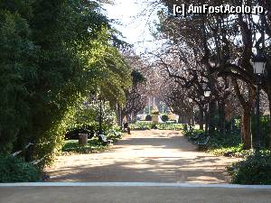 [P150] Barcelona, Jardins del Pedralbes Palau Royal » foto by mariana.olaru
 - 
<span class="allrVoted glyphicon glyphicon-heart hidden" id="av388440"></span>
<a class="m-l-10 hidden" id="sv388440" onclick="voting_Foto_DelVot(,388440,1999)" role="button">șterge vot <span class="glyphicon glyphicon-remove"></span></a>
<a id="v9388440" class=" c-red"  onclick="voting_Foto_SetVot(388440)" role="button"><span class="glyphicon glyphicon-heart-empty"></span> <b>LIKE</b> = Votează poza</a> <img class="hidden"  id="f388440W9" src="/imagini/loader.gif" border="0" /><span class="AjErrMes hidden" id="e388440ErM"></span>