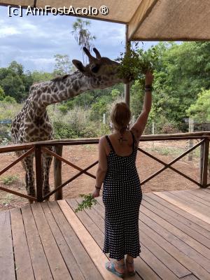 [P11] Întâlnire cu uriașul blând » foto by Mihaela Pitigoi
 - 
<span class="allrVoted glyphicon glyphicon-heart hidden" id="av1522583"></span>
<a class="m-l-10 hidden" id="sv1522583" onclick="voting_Foto_DelVot(,1522583,2009)" role="button">șterge vot <span class="glyphicon glyphicon-remove"></span></a>
<a id="v91522583" class=" c-red"  onclick="voting_Foto_SetVot(1522583)" role="button"><span class="glyphicon glyphicon-heart-empty"></span> <b>LIKE</b> = Votează poza</a> <img class="hidden"  id="f1522583W9" src="/imagini/loader.gif" border="0" /><span class="AjErrMes hidden" id="e1522583ErM"></span>