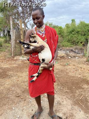 [P12] Maasai cu ied » foto by Mihaela Pitigoi
 - 
<span class="allrVoted glyphicon glyphicon-heart hidden" id="av1522584"></span>
<a class="m-l-10 hidden" id="sv1522584" onclick="voting_Foto_DelVot(,1522584,2009)" role="button">șterge vot <span class="glyphicon glyphicon-remove"></span></a>
<a id="v91522584" class=" c-red"  onclick="voting_Foto_SetVot(1522584)" role="button"><span class="glyphicon glyphicon-heart-empty"></span> <b>LIKE</b> = Votează poza</a> <img class="hidden"  id="f1522584W9" src="/imagini/loader.gif" border="0" /><span class="AjErrMes hidden" id="e1522584ErM"></span>