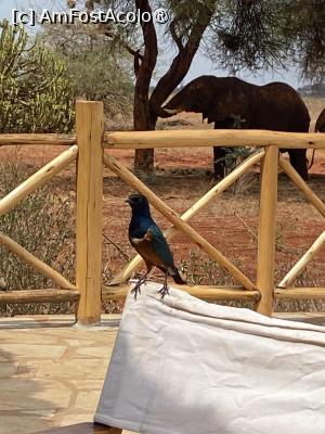 [P02] Vedere de pe terasă » foto by Mihaela Pitigoi
 - 
<span class="allrVoted glyphicon glyphicon-heart hidden" id="av1522574"></span>
<a class="m-l-10 hidden" id="sv1522574" onclick="voting_Foto_DelVot(,1522574,2009)" role="button">șterge vot <span class="glyphicon glyphicon-remove"></span></a>
<a id="v91522574" class=" c-red"  onclick="voting_Foto_SetVot(1522574)" role="button"><span class="glyphicon glyphicon-heart-empty"></span> <b>LIKE</b> = Votează poza</a> <img class="hidden"  id="f1522574W9" src="/imagini/loader.gif" border="0" /><span class="AjErrMes hidden" id="e1522574ErM"></span>