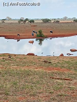 [P11] de pe terasa Ngutunu Lodge » foto by nela b
 - 
<span class="allrVoted glyphicon glyphicon-heart hidden" id="av1515227"></span>
<a class="m-l-10 hidden" id="sv1515227" onclick="voting_Foto_DelVot(,1515227,2009)" role="button">șterge vot <span class="glyphicon glyphicon-remove"></span></a>
<a id="v91515227" class=" c-red"  onclick="voting_Foto_SetVot(1515227)" role="button"><span class="glyphicon glyphicon-heart-empty"></span> <b>LIKE</b> = Votează poza</a> <img class="hidden"  id="f1515227W9" src="/imagini/loader.gif" border="0" /><span class="AjErrMes hidden" id="e1515227ErM"></span>