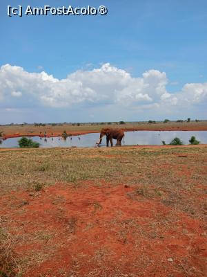 [P12] de pe terasa Ngutuni Lodge » foto by nela b
 - 
<span class="allrVoted glyphicon glyphicon-heart hidden" id="av1515228"></span>
<a class="m-l-10 hidden" id="sv1515228" onclick="voting_Foto_DelVot(,1515228,2009)" role="button">șterge vot <span class="glyphicon glyphicon-remove"></span></a>
<a id="v91515228" class=" c-red"  onclick="voting_Foto_SetVot(1515228)" role="button"><span class="glyphicon glyphicon-heart-empty"></span> <b>LIKE</b> = Votează poza</a> <img class="hidden"  id="f1515228W9" src="/imagini/loader.gif" border="0" /><span class="AjErrMes hidden" id="e1515228ErM"></span>