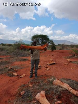 [P05] Ghidul nostru » foto by nela b
 - 
<span class="allrVoted glyphicon glyphicon-heart hidden" id="av1515221"></span>
<a class="m-l-10 hidden" id="sv1515221" onclick="voting_Foto_DelVot(,1515221,2009)" role="button">șterge vot <span class="glyphicon glyphicon-remove"></span></a>
<a id="v91515221" class=" c-red"  onclick="voting_Foto_SetVot(1515221)" role="button"><span class="glyphicon glyphicon-heart-empty"></span> <b>LIKE</b> = Votează poza</a> <img class="hidden"  id="f1515221W9" src="/imagini/loader.gif" border="0" /><span class="AjErrMes hidden" id="e1515221ErM"></span>