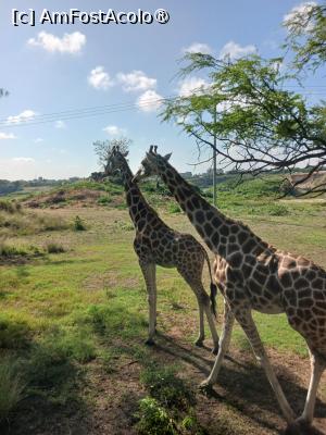 [P12] prin parcul Haller » foto by nela b
 - 
<span class="allrVoted glyphicon glyphicon-heart hidden" id="av1516827"></span>
<a class="m-l-10 hidden" id="sv1516827" onclick="voting_Foto_DelVot(,1516827,2009)" role="button">șterge vot <span class="glyphicon glyphicon-remove"></span></a>
<a id="v91516827" class=" c-red"  onclick="voting_Foto_SetVot(1516827)" role="button"><span class="glyphicon glyphicon-heart-empty"></span> <b>LIKE</b> = Votează poza</a> <img class="hidden"  id="f1516827W9" src="/imagini/loader.gif" border="0" /><span class="AjErrMes hidden" id="e1516827ErM"></span>