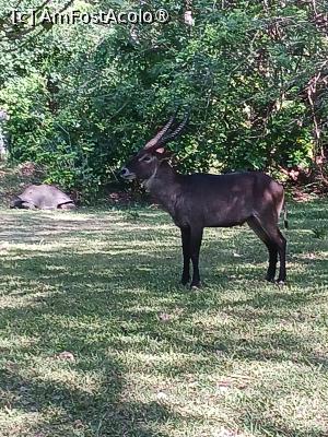 [P14] prin parc » foto by nela b
 - 
<span class="allrVoted glyphicon glyphicon-heart hidden" id="av1516829"></span>
<a class="m-l-10 hidden" id="sv1516829" onclick="voting_Foto_DelVot(,1516829,2009)" role="button">șterge vot <span class="glyphicon glyphicon-remove"></span></a>
<a id="v91516829" class=" c-red"  onclick="voting_Foto_SetVot(1516829)" role="button"><span class="glyphicon glyphicon-heart-empty"></span> <b>LIKE</b> = Votează poza</a> <img class="hidden"  id="f1516829W9" src="/imagini/loader.gif" border="0" /><span class="AjErrMes hidden" id="e1516829ErM"></span>