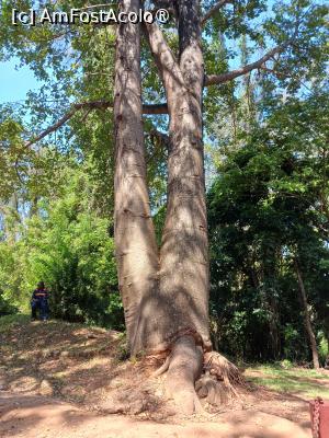 [P02] la intrarea in parc » foto by nela b
 - 
<span class="allrVoted glyphicon glyphicon-heart hidden" id="av1516817"></span>
<a class="m-l-10 hidden" id="sv1516817" onclick="voting_Foto_DelVot(,1516817,2009)" role="button">șterge vot <span class="glyphicon glyphicon-remove"></span></a>
<a id="v91516817" class=" c-red"  onclick="voting_Foto_SetVot(1516817)" role="button"><span class="glyphicon glyphicon-heart-empty"></span> <b>LIKE</b> = Votează poza</a> <img class="hidden"  id="f1516817W9" src="/imagini/loader.gif" border="0" /><span class="AjErrMes hidden" id="e1516817ErM"></span>