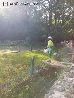 [P21] ingrijitorul hipopotamilor » foto by nela b
 - 
<span class="allrVoted glyphicon glyphicon-heart hidden" id="av1516836"></span>
<a class="m-l-10 hidden" id="sv1516836" onclick="voting_Foto_DelVot(,1516836,2009)" role="button">șterge vot <span class="glyphicon glyphicon-remove"></span></a>
<a id="v91516836" class=" c-red"  onclick="voting_Foto_SetVot(1516836)" role="button"><span class="glyphicon glyphicon-heart-empty"></span> <b>LIKE</b> = Votează poza</a> <img class="hidden"  id="f1516836W9" src="/imagini/loader.gif" border="0" /><span class="AjErrMes hidden" id="e1516836ErM"></span>