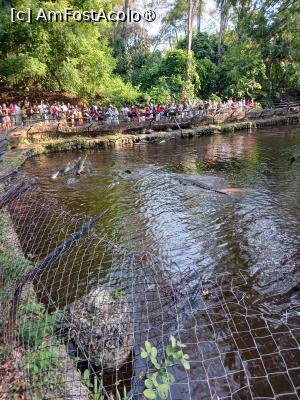 [P22] crocodili » foto by nela b
 - 
<span class="allrVoted glyphicon glyphicon-heart hidden" id="av1516837"></span>
<a class="m-l-10 hidden" id="sv1516837" onclick="voting_Foto_DelVot(,1516837,2009)" role="button">șterge vot <span class="glyphicon glyphicon-remove"></span></a>
<a id="v91516837" class=" c-red"  onclick="voting_Foto_SetVot(1516837)" role="button"><span class="glyphicon glyphicon-heart-empty"></span> <b>LIKE</b> = Votează poza</a> <img class="hidden"  id="f1516837W9" src="/imagini/loader.gif" border="0" /><span class="AjErrMes hidden" id="e1516837ErM"></span>