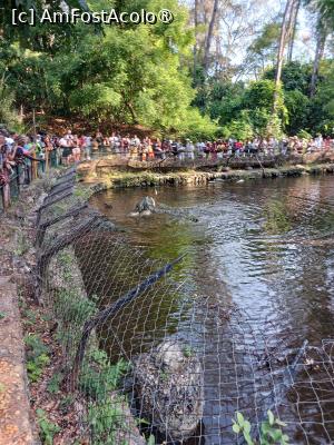 [P23] crocodilii din parc » foto by nela b
 - 
<span class="allrVoted glyphicon glyphicon-heart hidden" id="av1516838"></span>
<a class="m-l-10 hidden" id="sv1516838" onclick="voting_Foto_DelVot(,1516838,2009)" role="button">șterge vot <span class="glyphicon glyphicon-remove"></span></a>
<a id="v91516838" class=" c-red"  onclick="voting_Foto_SetVot(1516838)" role="button"><span class="glyphicon glyphicon-heart-empty"></span> <b>LIKE</b> = Votează poza</a> <img class="hidden"  id="f1516838W9" src="/imagini/loader.gif" border="0" /><span class="AjErrMes hidden" id="e1516838ErM"></span>