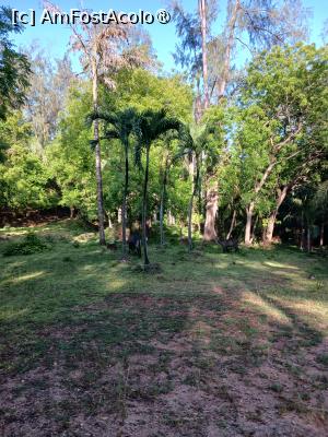 [P24] prin parc » foto by nela b
 - 
<span class="allrVoted glyphicon glyphicon-heart hidden" id="av1516839"></span>
<a class="m-l-10 hidden" id="sv1516839" onclick="voting_Foto_DelVot(,1516839,2009)" role="button">șterge vot <span class="glyphicon glyphicon-remove"></span></a>
<a id="v91516839" class=" c-red"  onclick="voting_Foto_SetVot(1516839)" role="button"><span class="glyphicon glyphicon-heart-empty"></span> <b>LIKE</b> = Votează poza</a> <img class="hidden"  id="f1516839W9" src="/imagini/loader.gif" border="0" /><span class="AjErrMes hidden" id="e1516839ErM"></span>