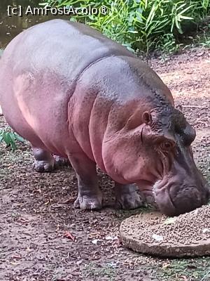 [P28] mancarea este pusa pe aceste discuri din piatra » foto by nela b
 - 
<span class="allrVoted glyphicon glyphicon-heart hidden" id="av1516843"></span>
<a class="m-l-10 hidden" id="sv1516843" onclick="voting_Foto_DelVot(,1516843,2009)" role="button">șterge vot <span class="glyphicon glyphicon-remove"></span></a>
<a id="v91516843" class=" c-red"  onclick="voting_Foto_SetVot(1516843)" role="button"><span class="glyphicon glyphicon-heart-empty"></span> <b>LIKE</b> = Votează poza</a> <img class="hidden"  id="f1516843W9" src="/imagini/loader.gif" border="0" /><span class="AjErrMes hidden" id="e1516843ErM"></span>