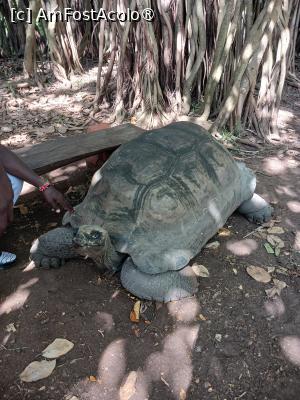 [P06] testoasa » foto by nela b
 - 
<span class="allrVoted glyphicon glyphicon-heart hidden" id="av1516821"></span>
<a class="m-l-10 hidden" id="sv1516821" onclick="voting_Foto_DelVot(,1516821,2009)" role="button">șterge vot <span class="glyphicon glyphicon-remove"></span></a>
<a id="v91516821" class=" c-red"  onclick="voting_Foto_SetVot(1516821)" role="button"><span class="glyphicon glyphicon-heart-empty"></span> <b>LIKE</b> = Votează poza</a> <img class="hidden"  id="f1516821W9" src="/imagini/loader.gif" border="0" /><span class="AjErrMes hidden" id="e1516821ErM"></span>