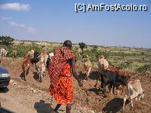 P21 [JAN-2007] ... in drum spre tabara de safari Tipilikwani. Nu, nu exista asfalt 'la tara' iar din Nairobi am facut 6 ore cu masina pana in Masai Mara. Ni s-au relocat toate organele:) insa face parte din farmec. Acesta e un pastor Maasai = nu sunt un trib de razboinici. Nu ei.