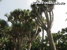 [P18] Vegetatie luxurianta » foto by cami1212
 - 
<span class="allrVoted glyphicon glyphicon-heart hidden" id="av189051"></span>
<a class="m-l-10 hidden" id="sv189051" onclick="voting_Foto_DelVot(,189051,2078)" role="button">șterge vot <span class="glyphicon glyphicon-remove"></span></a>
<a id="v9189051" class=" c-red"  onclick="voting_Foto_SetVot(189051)" role="button"><span class="glyphicon glyphicon-heart-empty"></span> <b>LIKE</b> = Votează poza</a> <img class="hidden"  id="f189051W9" src="/imagini/loader.gif" border="0" /><span class="AjErrMes hidden" id="e189051ErM"></span>