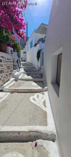 [P30] Aleea cu margarete din Lagada » foto by irinad
 - 
<span class="allrVoted glyphicon glyphicon-heart hidden" id="av1486977"></span>
<a class="m-l-10 hidden" id="sv1486977" onclick="voting_Foto_DelVot(,1486977,2089)" role="button">șterge vot <span class="glyphicon glyphicon-remove"></span></a>
<a id="v91486977" class=" c-red"  onclick="voting_Foto_SetVot(1486977)" role="button"><span class="glyphicon glyphicon-heart-empty"></span> <b>LIKE</b> = Votează poza</a> <img class="hidden"  id="f1486977W9" src="/imagini/loader.gif" border="0" /><span class="AjErrMes hidden" id="e1486977ErM"></span>