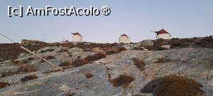 [P15] Câteva mori » foto by irinad
 - 
<span class="allrVoted glyphicon glyphicon-heart hidden" id="av1495840"></span>
<a class="m-l-10 hidden" id="sv1495840" onclick="voting_Foto_DelVot(,1495840,2089)" role="button">șterge vot <span class="glyphicon glyphicon-remove"></span></a>
<a id="v91495840" class=" c-red"  onclick="voting_Foto_SetVot(1495840)" role="button"><span class="glyphicon glyphicon-heart-empty"></span> <b>LIKE</b> = Votează poza</a> <img class="hidden"  id="f1495840W9" src="/imagini/loader.gif" border="0" /><span class="AjErrMes hidden" id="e1495840ErM"></span>