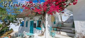 [P03] La pas prin Chora Amorgos » foto by irinad
 - 
<span class="allrVoted glyphicon glyphicon-heart hidden" id="av1495828"></span>
<a class="m-l-10 hidden" id="sv1495828" onclick="voting_Foto_DelVot(,1495828,2089)" role="button">șterge vot <span class="glyphicon glyphicon-remove"></span></a>
<a id="v91495828" class=" c-red"  onclick="voting_Foto_SetVot(1495828)" role="button"><span class="glyphicon glyphicon-heart-empty"></span> <b>LIKE</b> = Votează poza</a> <img class="hidden"  id="f1495828W9" src="/imagini/loader.gif" border="0" /><span class="AjErrMes hidden" id="e1495828ErM"></span>