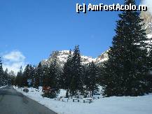 [P13] aici intram in Parcul National Dolomiti d'Ampezzo. » foto by adryana
 - 
<span class="allrVoted glyphicon glyphicon-heart hidden" id="av319491"></span>
<a class="m-l-10 hidden" id="sv319491" onclick="voting_Foto_DelVot(,319491,2211)" role="button">șterge vot <span class="glyphicon glyphicon-remove"></span></a>
<a id="v9319491" class=" c-red"  onclick="voting_Foto_SetVot(319491)" role="button"><span class="glyphicon glyphicon-heart-empty"></span> <b>LIKE</b> = Votează poza</a> <img class="hidden"  id="f319491W9" src="/imagini/loader.gif" border="0" /><span class="AjErrMes hidden" id="e319491ErM"></span>