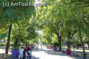 [P67] Colmar, Prin Parcul Champ de Mars de lângă fântână, cel în verde este soțul meu » foto by mprofeanu
 - 
<span class="allrVoted glyphicon glyphicon-heart hidden" id="av891215"></span>
<a class="m-l-10 hidden" id="sv891215" onclick="voting_Foto_DelVot(,891215,2237)" role="button">șterge vot <span class="glyphicon glyphicon-remove"></span></a>
<a id="v9891215" class=" c-red"  onclick="voting_Foto_SetVot(891215)" role="button"><span class="glyphicon glyphicon-heart-empty"></span> <b>LIKE</b> = Votează poza</a> <img class="hidden"  id="f891215W9" src="/imagini/loader.gif" border="0" /><span class="AjErrMes hidden" id="e891215ErM"></span>