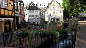 P05 [JUL-2017] Peste tot sunt flori - centru Colmar