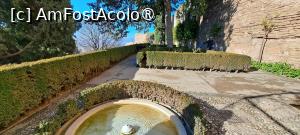 [P53] Alcazaba, Jardines de los Adarves » foto by irinad
 - 
<span class="allrVoted glyphicon glyphicon-heart hidden" id="av1429023"></span>
<a class="m-l-10 hidden" id="sv1429023" onclick="voting_Foto_DelVot(,1429023,2240)" role="button">șterge vot <span class="glyphicon glyphicon-remove"></span></a>
<a id="v91429023" class=" c-red"  onclick="voting_Foto_SetVot(1429023)" role="button"><span class="glyphicon glyphicon-heart-empty"></span> <b>LIKE</b> = Votează poza</a> <img class="hidden"  id="f1429023W9" src="/imagini/loader.gif" border="0" /><span class="AjErrMes hidden" id="e1429023ErM"></span>